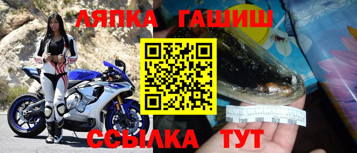 ГАШ Premium Тула
