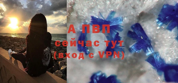 ECSTASY Новодвинск