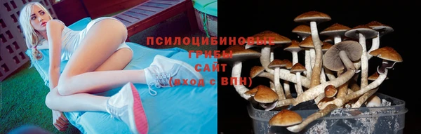 гидра Новокубанск