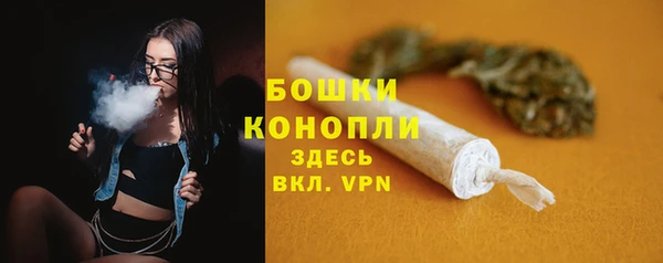 ECSTASY Новодвинск