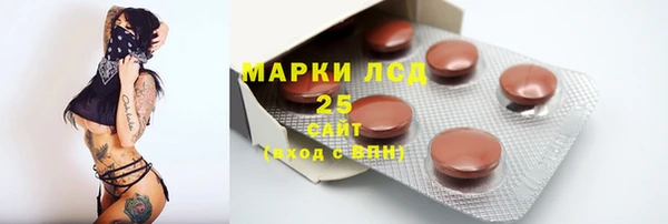 гидра Новокубанск