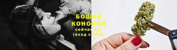 гидра Новокубанск
