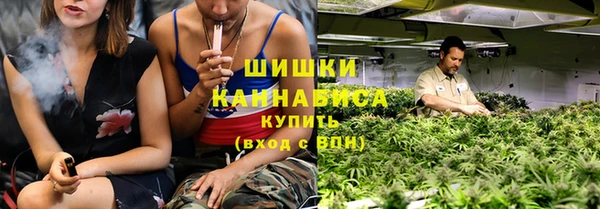 PSILOCYBIN Новозыбков