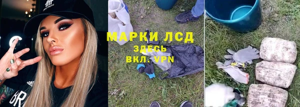 ECSTASY Новодвинск