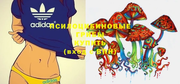 шишки Яровое