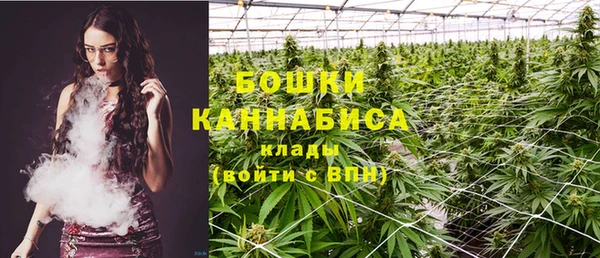 гидра Новокубанск