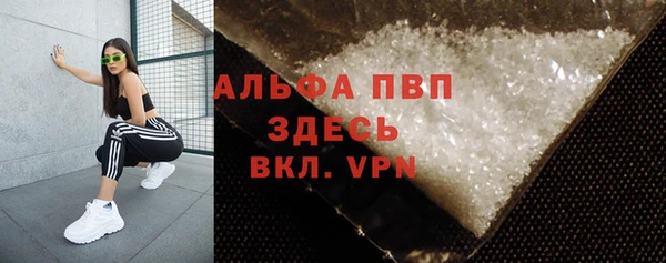гидра Новокубанск