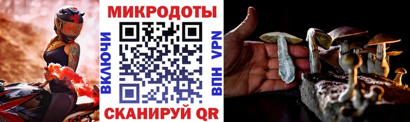 сколько стоит  Тула  Псилоцибиновые грибы прущие грибы 